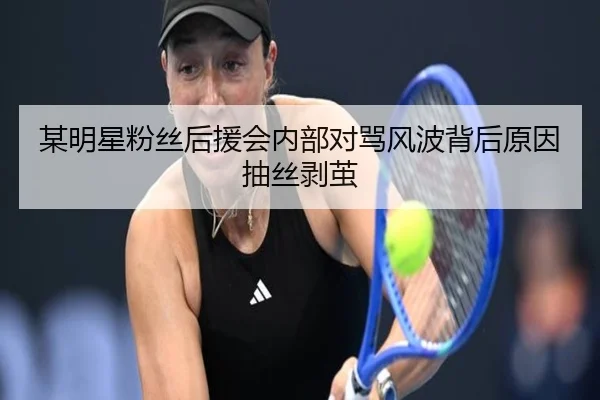 某明星粉丝后援会内部对骂风波背后原因抽丝剥茧