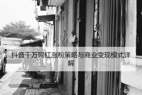 抖音千万网红涨粉策略与商业变现模式详解